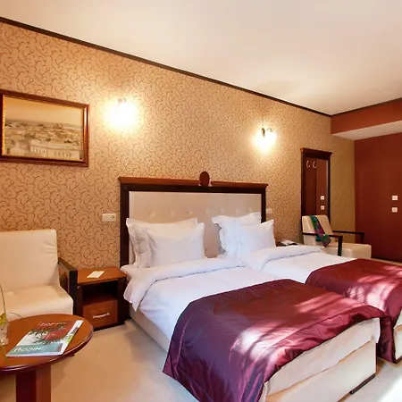 Best Western Plus Bristol Hotel-3