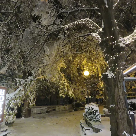 Hotel Villa Boyana - Free Parking-2